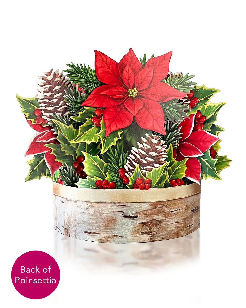 Birch Poinsettia - Image 4