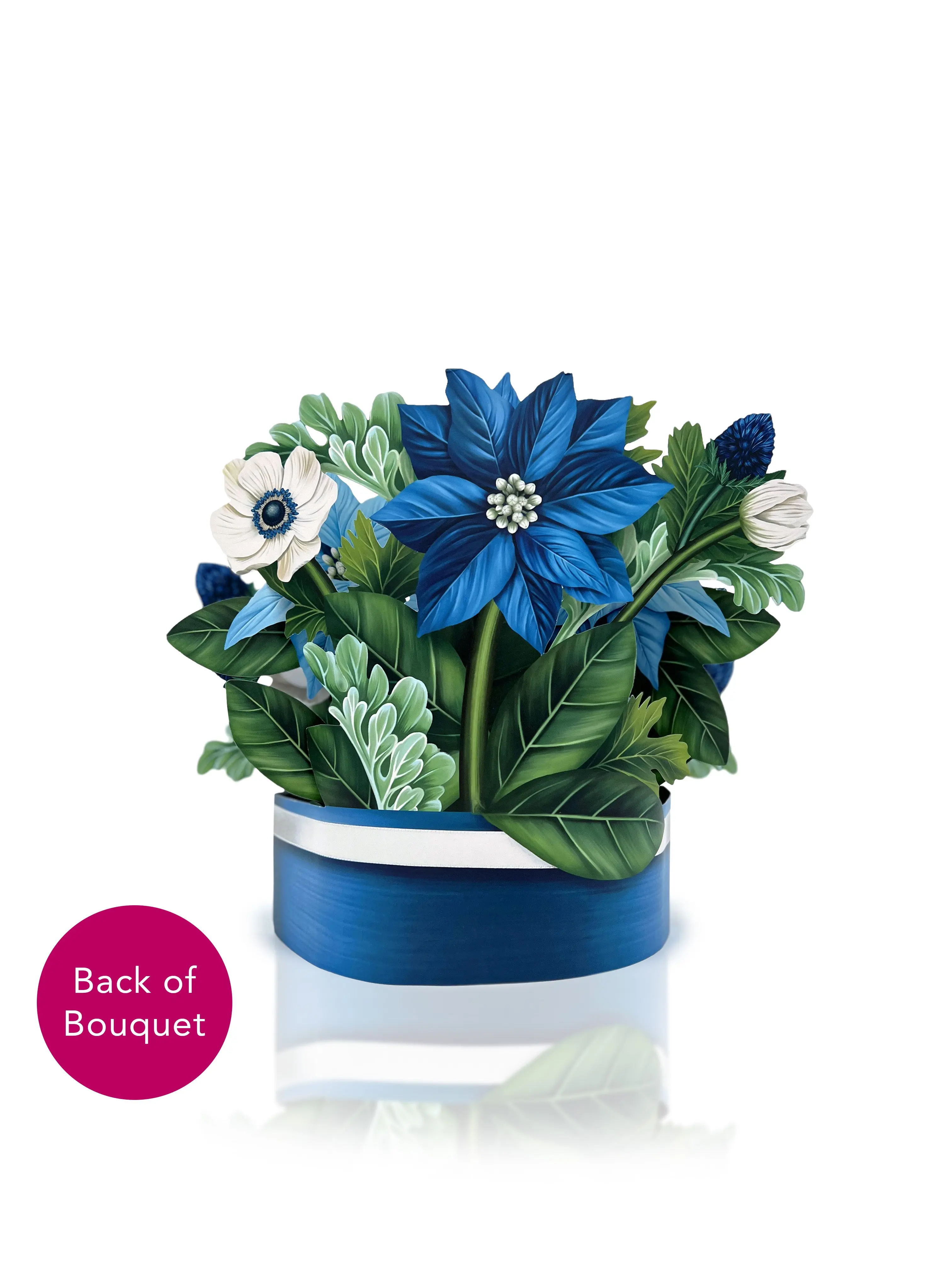 Blue Poinsettia - Image 3