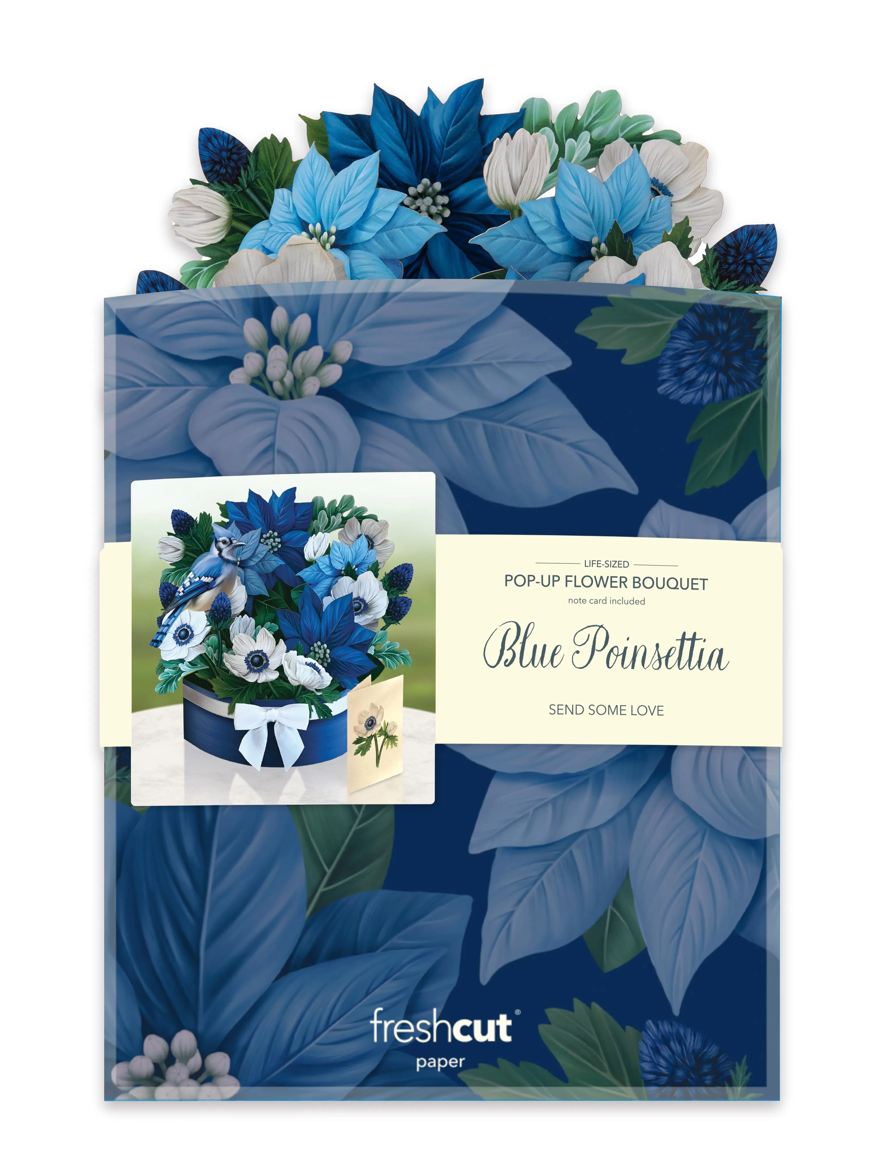 Blue Poinsettia - Image 4