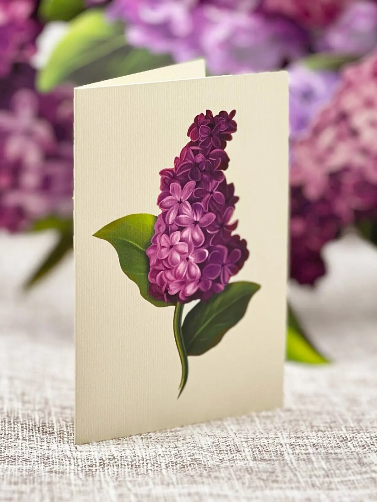 Garden Lilacs - Image 6