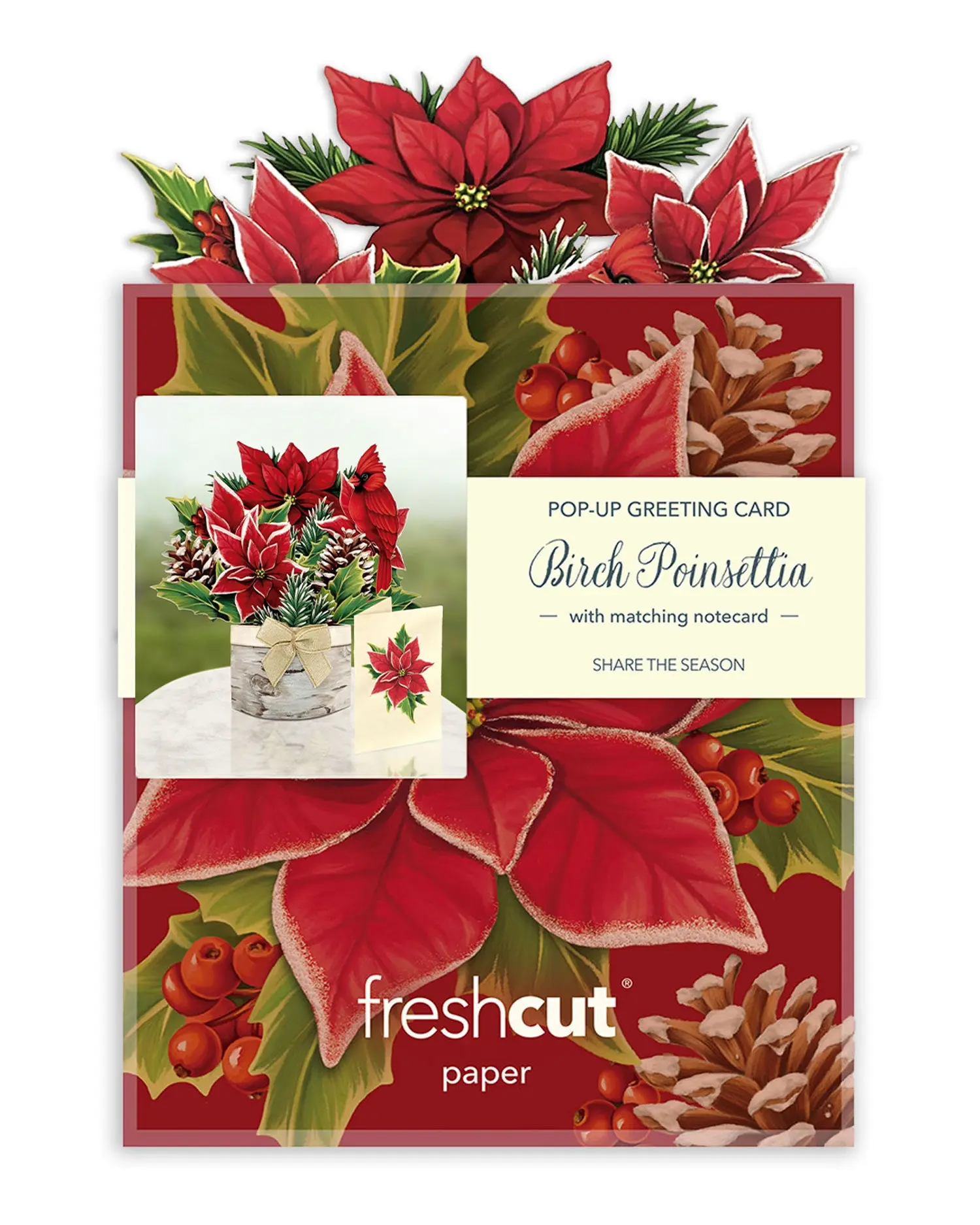Mini Birch Poinsettia Pop-Up Card - Image 7