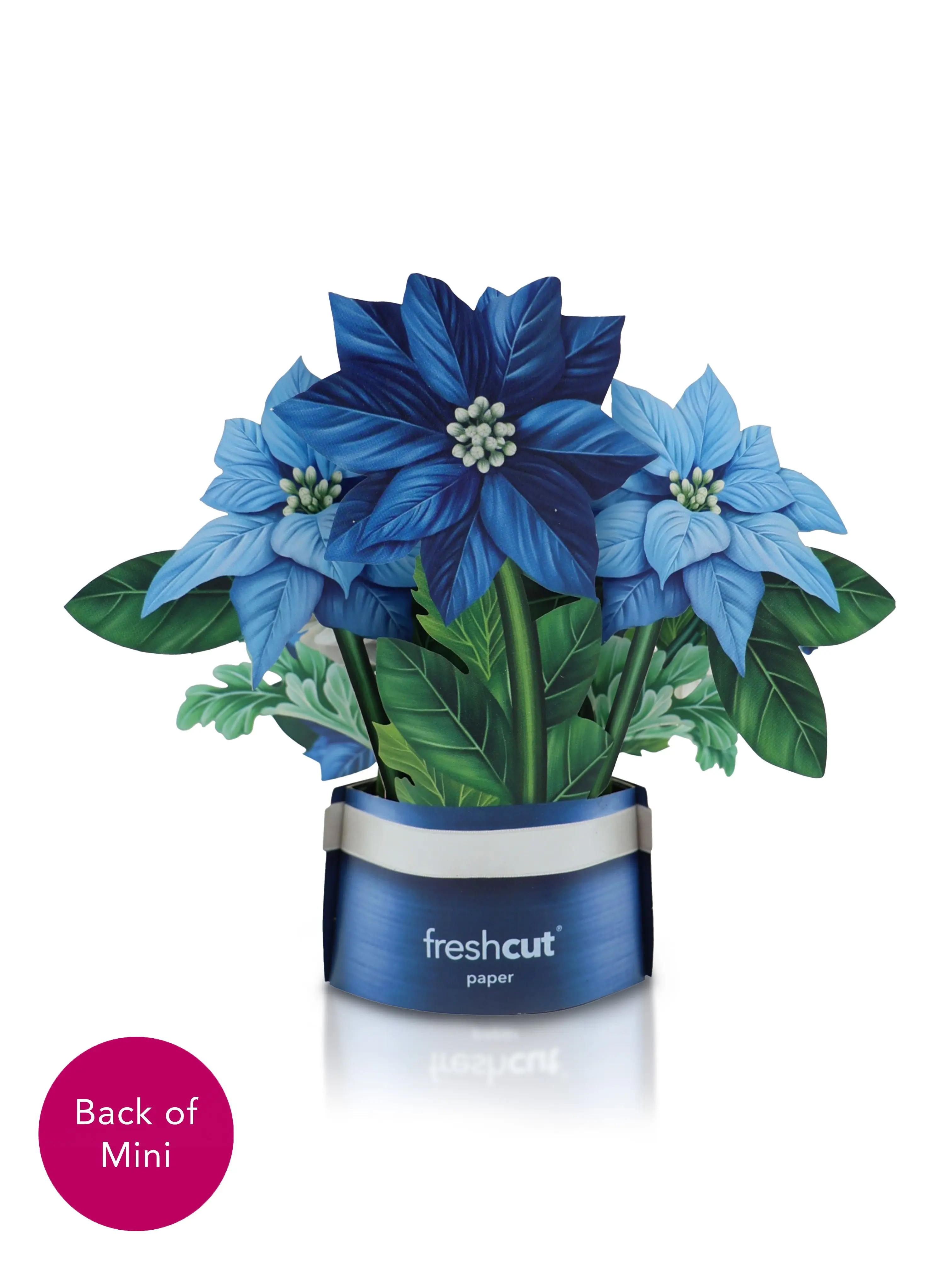 Mini Blue Poinsettia Pop-Up Card - Image 3