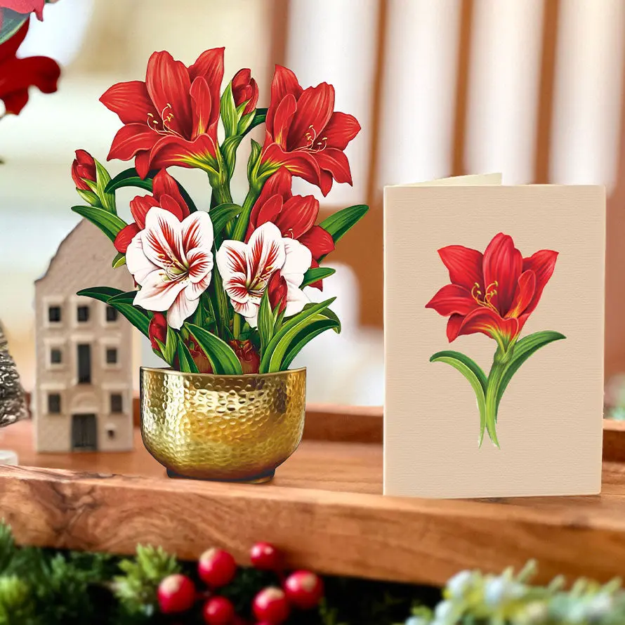 Mini Christmas Scarlet Amaryllis Pop-Up Card - Image 3