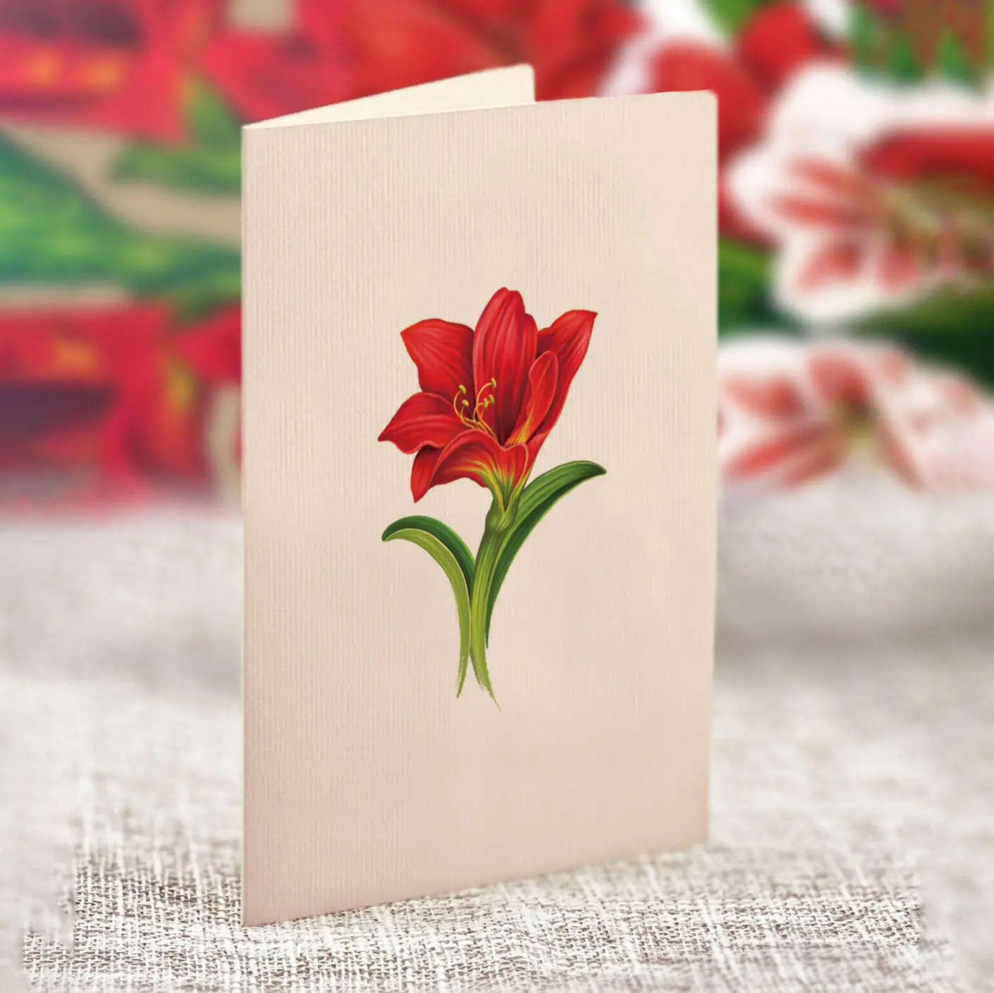 Mini Christmas Scarlet Amaryllis Pop-Up Card - Image 5