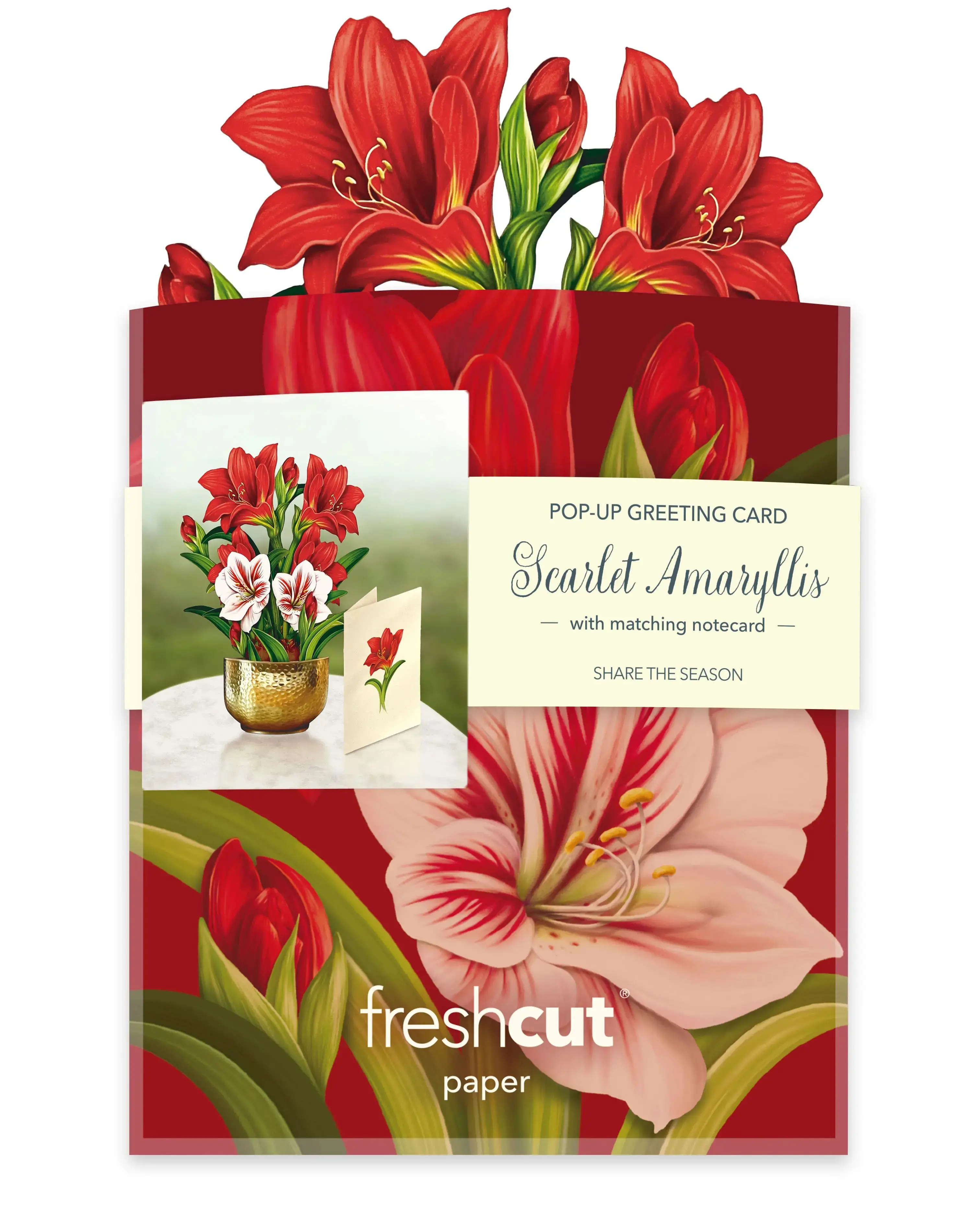 Mini Christmas Scarlet Amaryllis Pop-Up Card - Image 6