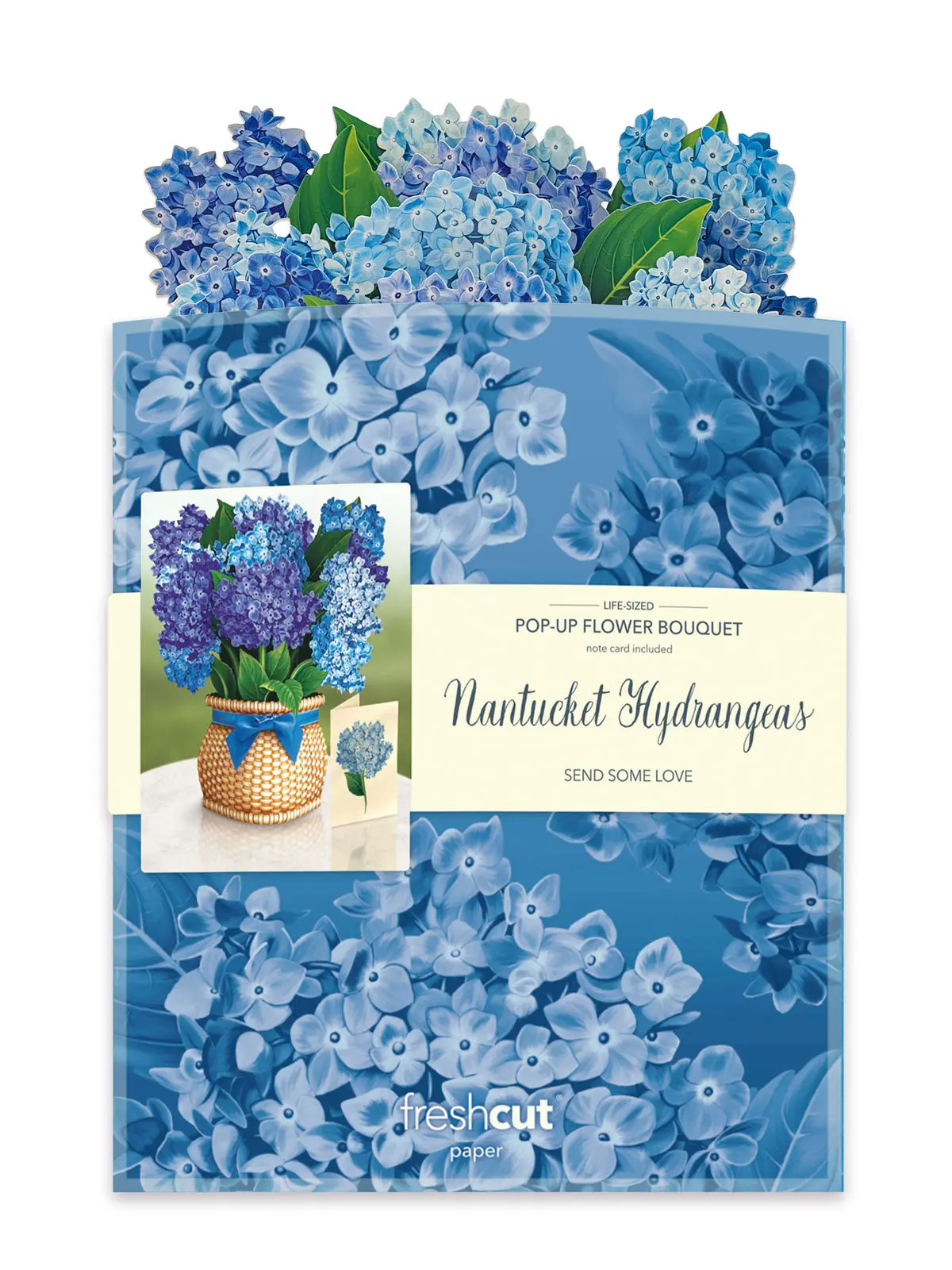 Nantucket Hydrangeas - Image 5