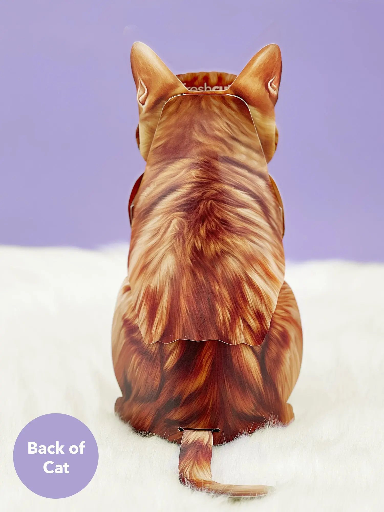 Orange Tabby Cat Pop-Up Card - Image 3