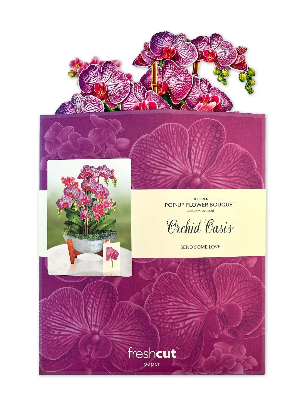 Orchid Oasis - Image 4