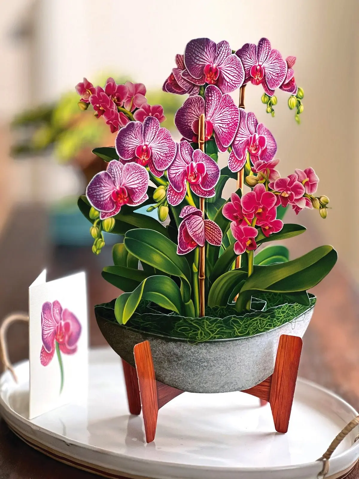 Orchid Oasis - Image 6