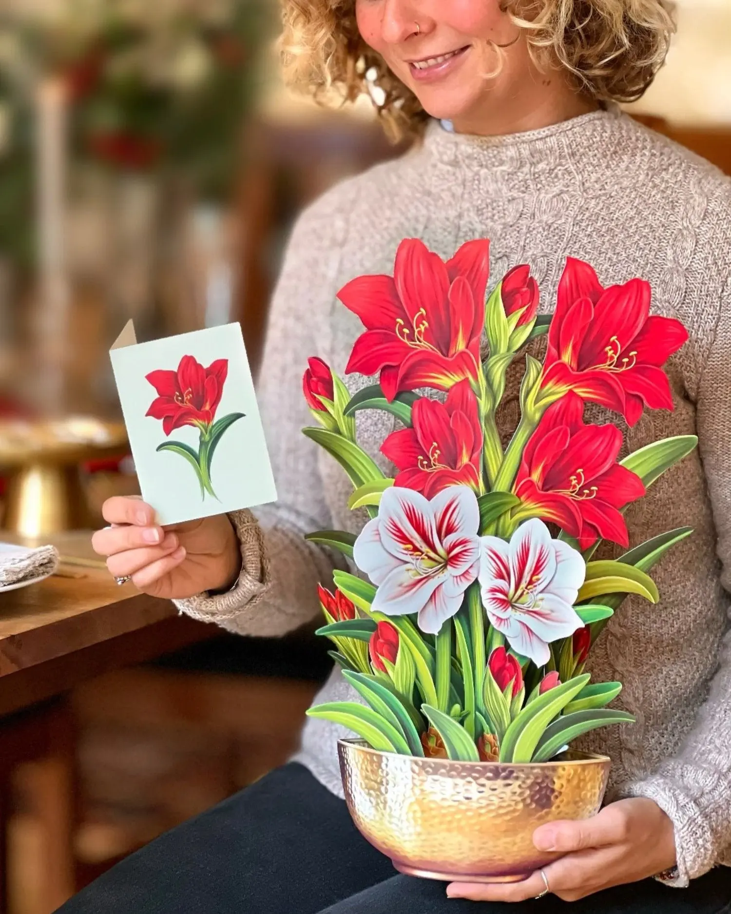 Christmas Scarlet Amaryllis - Image 7
