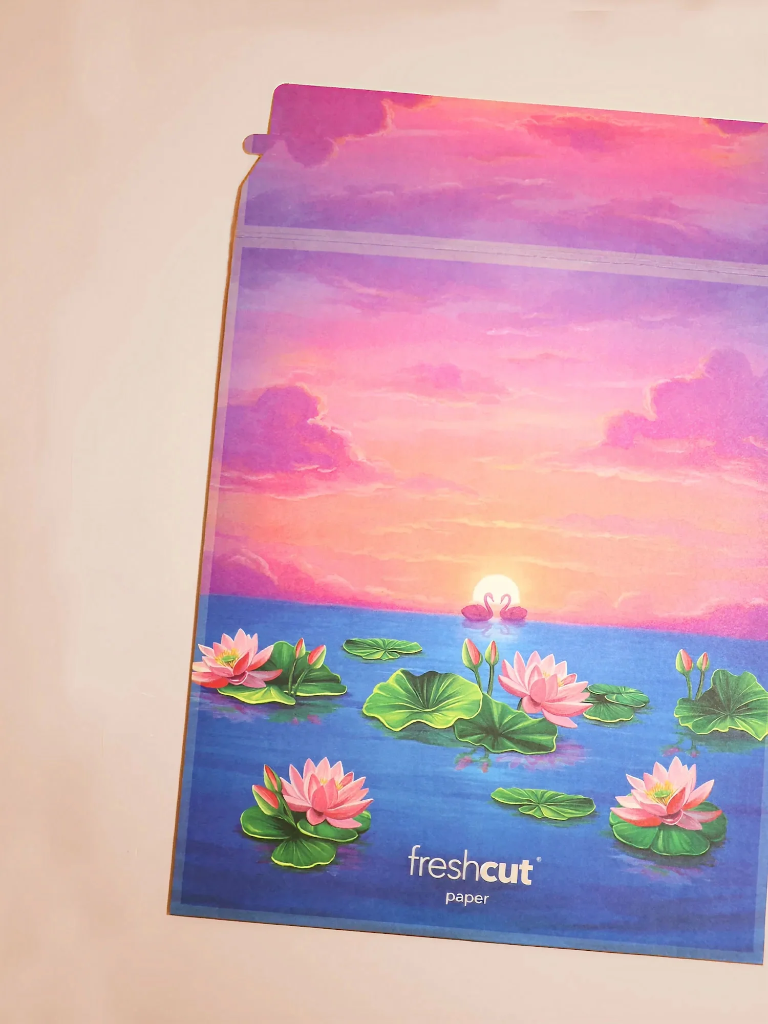 Sweetheart Swans - Image 4