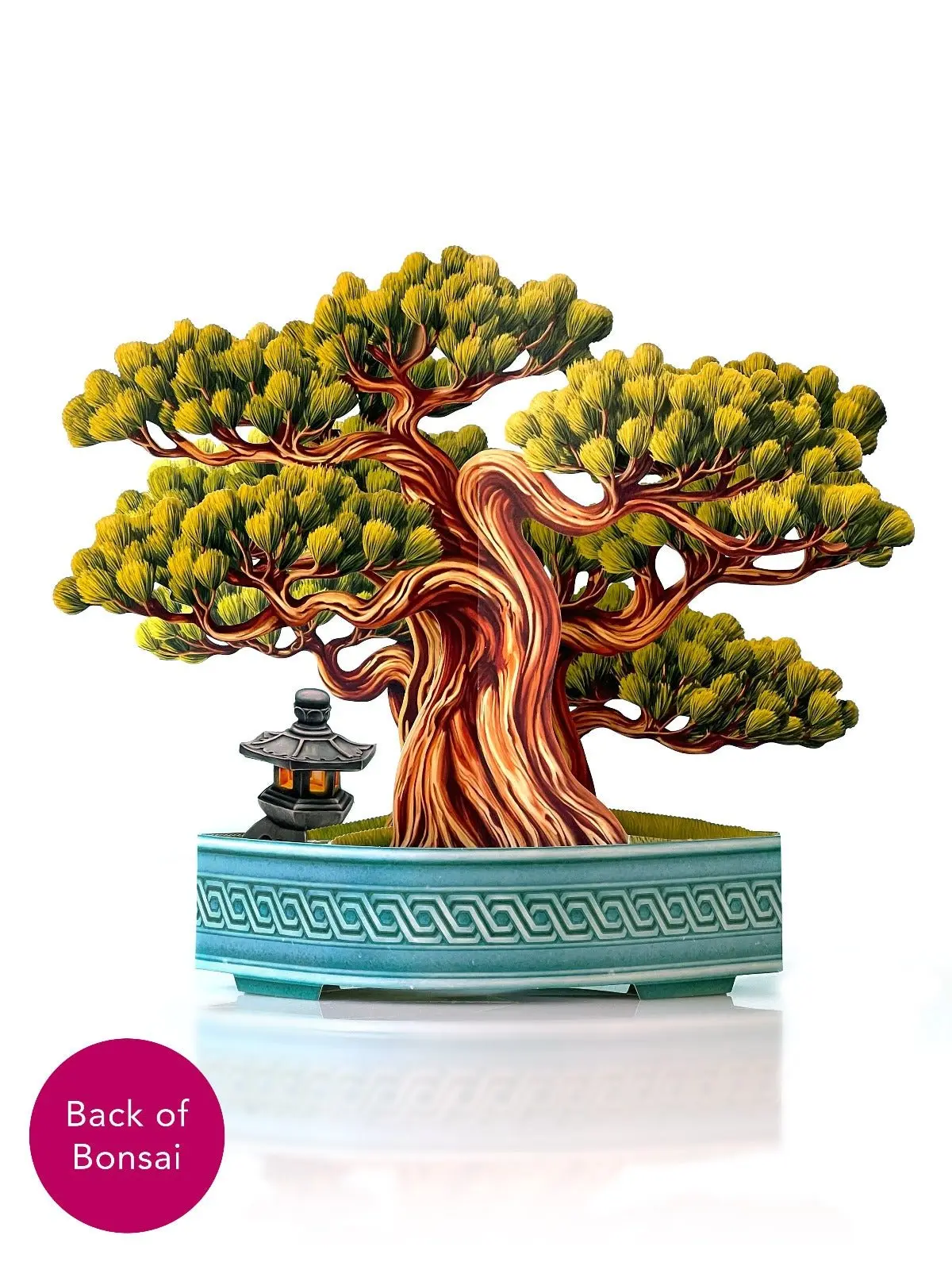 Wisdom Bonsai - Image 3