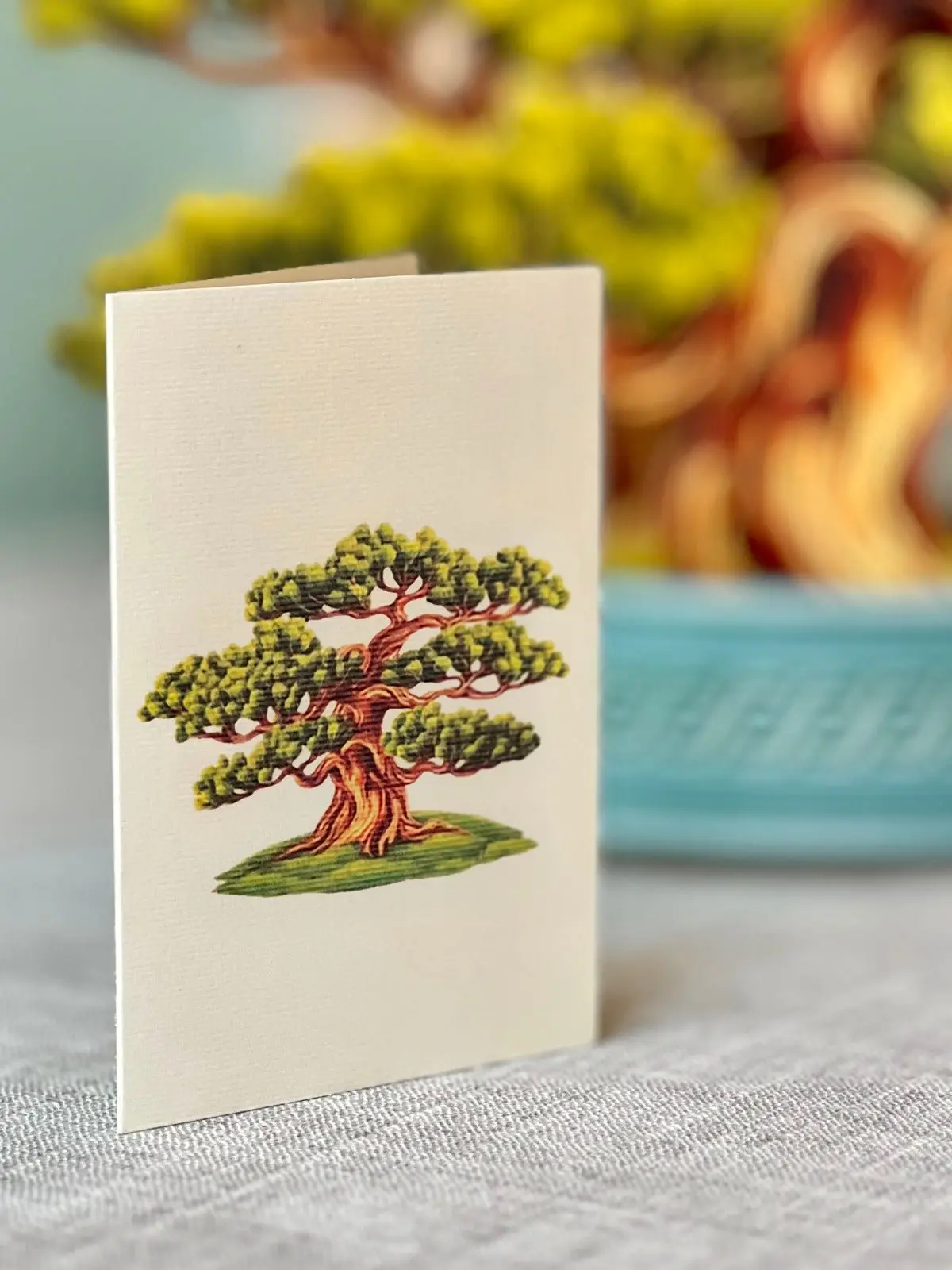 Wisdom Bonsai - Image 5